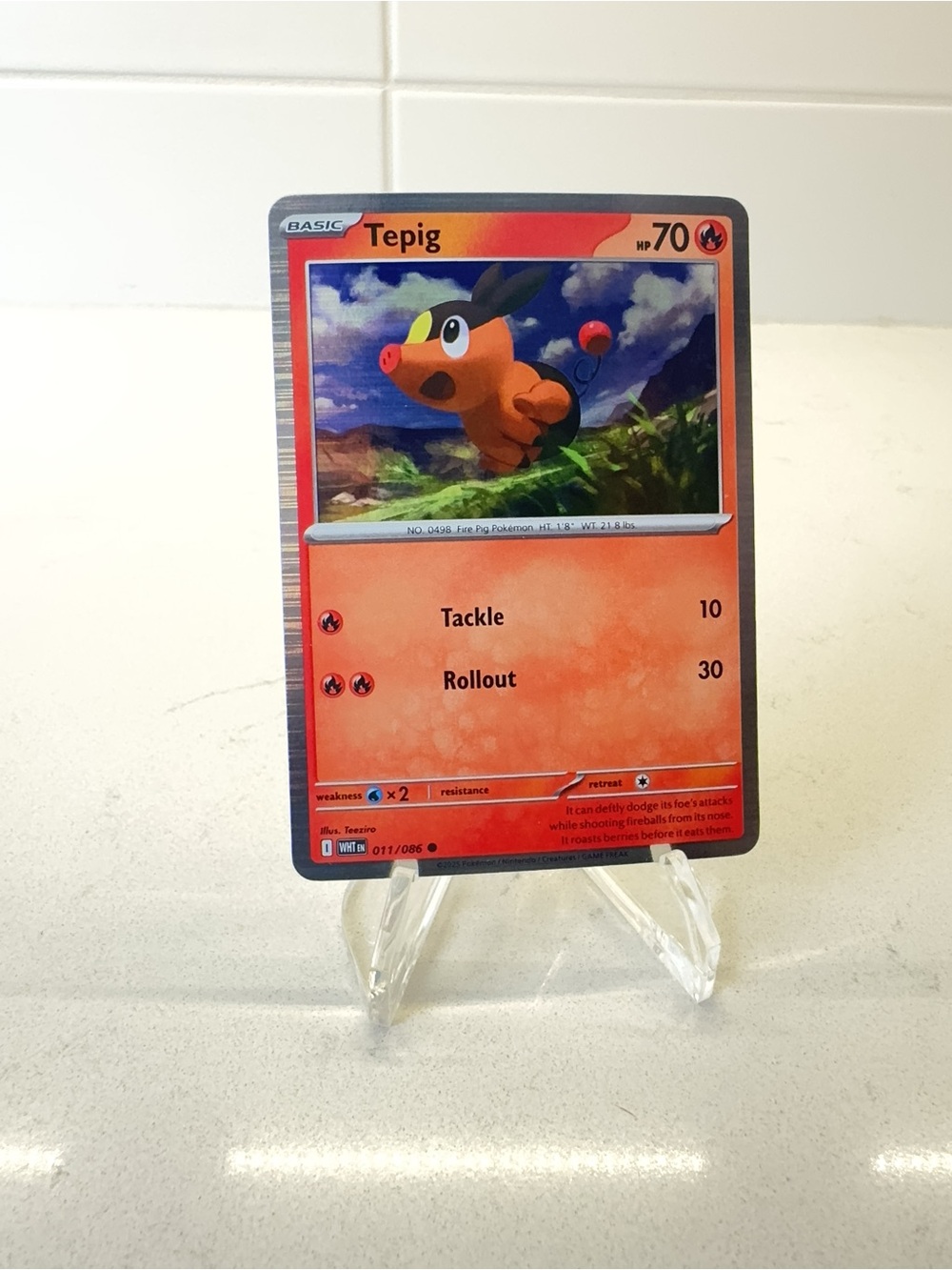 Pokemon TCG Card -  Tepig [Poster Holo] #11 Pokemon White Flare